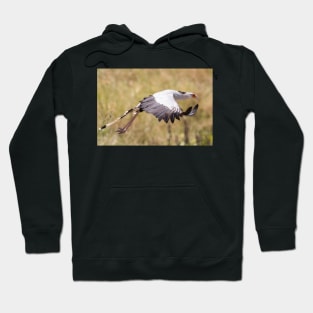 Secretary Bird in flight Hoodie